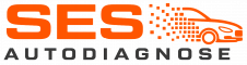 SES-Autodiagnose