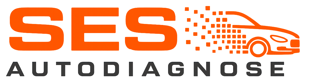 SES-Autodiagnose